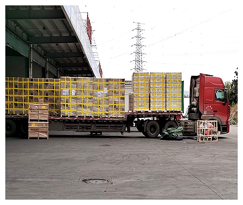 货运公司如何确保货物的安全运输？